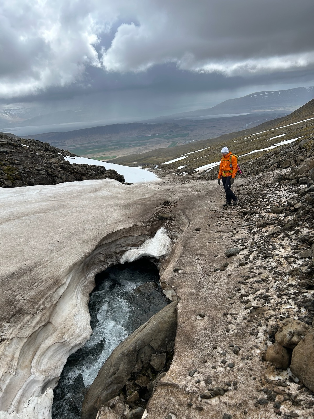 Fjallalækur